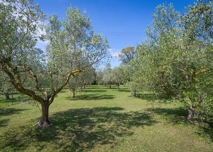 Tenuta Vallegaia * Rosignano Marittimo